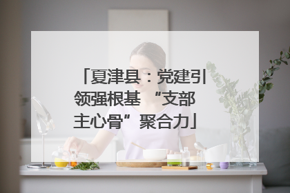 夏津县：党建引领强根基 “支部主心骨”聚合力