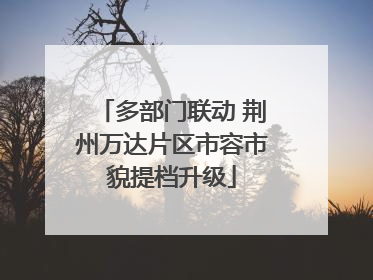 多部门联动 荆州万达片区市容市貌提档升级