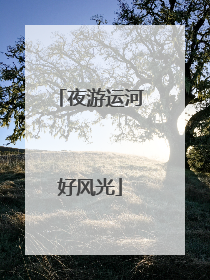 夜游运河好风光