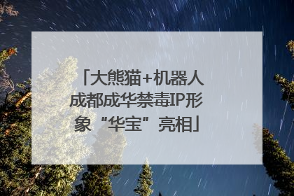 大熊猫+机器人 成都成华禁毒IP形象“华宝”亮相
