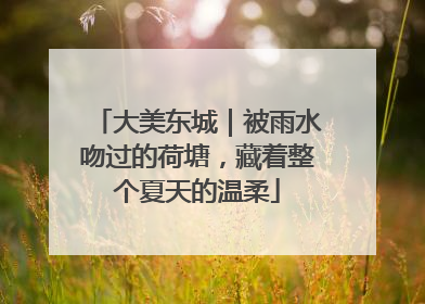 大美东城｜被雨水吻过的荷塘，藏着整个夏天的温柔