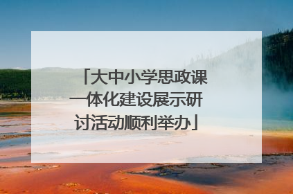 大中小学思政课一体化建设展示研讨活动顺利举办