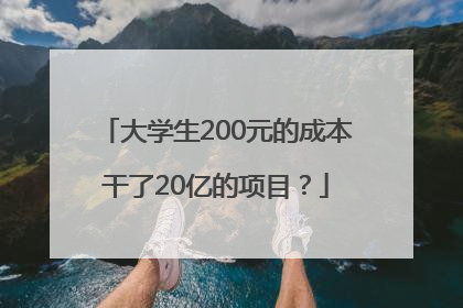 大学生200元的成本干了20亿的项目？