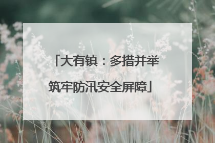 大有镇：多措并举筑牢防汛安全屏障