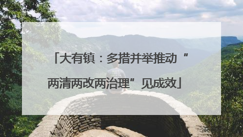 大有镇：多措并举推动“两清两改两治理”见成效