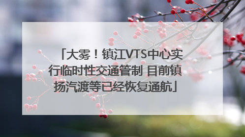 大雾！镇江VTS中心实行临时性交通管制 目前镇扬汽渡等已经恢复通航