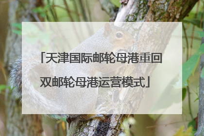 天津国际邮轮母港重回双邮轮母港运营模式