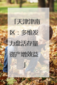 天津津南区：多维发力盘活存量资产增效益