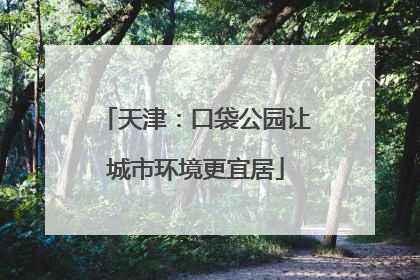 天津：口袋公园让城市环境更宜居