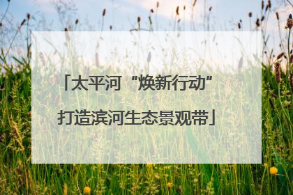 太平河“焕新行动” 打造滨河生态景观带