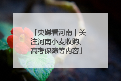 央媒看河南｜关注河南小麦收购、高考保障等内容