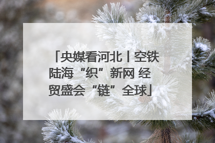 央媒看河北丨空铁陆海“织”新网 经贸盛会“链”全球