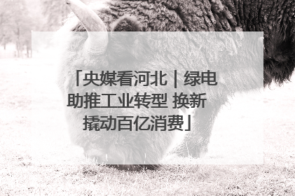 央媒看河北｜绿电助推工业转型 换新撬动百亿消费