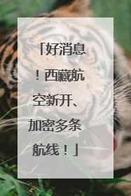 好消息！西藏航空新开、加密多条航线！
