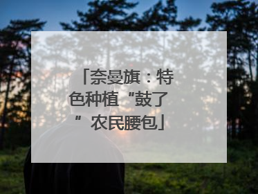 奈曼旗：特色种植“鼓了”农民腰包