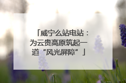 威宁么站电站：为云贵高原筑起一道“风光屏障”