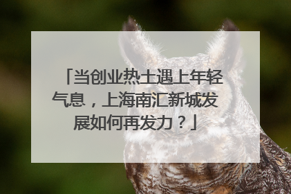 当创业热土遇上年轻气息，上海南汇新城发展如何再发力？