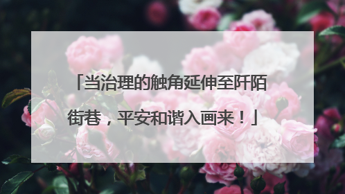 当治理的触角延伸至阡陌街巷，平安和谐入画来！