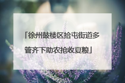 徐州鼓楼区拾屯街道多管齐下助农抢收夏粮