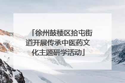 徐州鼓楼区拾屯街道开展传承中医药文化主题研学活动