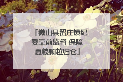微山县留庄镇纪委靠前监督 保障夏粮颗粒归仓