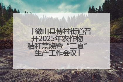 微山县傅村街道召开2025年农作物秸秆禁烧暨“三夏”生产工作会议