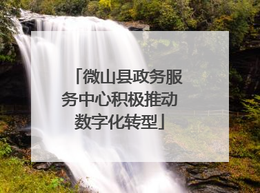 微山县政务服务中心积极推动数字化转型