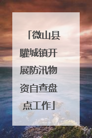 微山县驩城镇开展防汛物资自查盘点工作