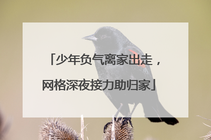 少年负气离家出走，网格深夜接力助归家