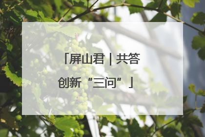 屏山君｜共答创新“三问”