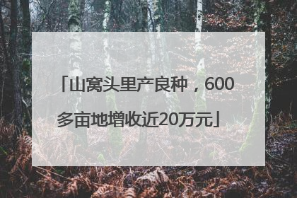 山窝头里产良种，600多亩地增收近20万元