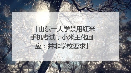 山东一大学禁用红米手机考试，小米王化回应：并非学校要求