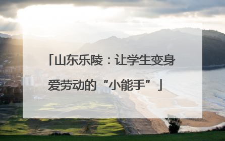 山东乐陵：让学生变身爱劳动的“小能手”