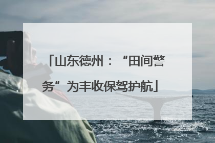 山东德州：“田间警务”为丰收保驾护航
