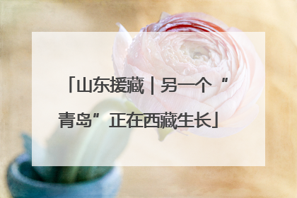 山东援藏｜另一个“青岛”正在西藏生长