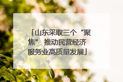 山东采取三个“聚焦” 推动民营经济服务业高质量发展