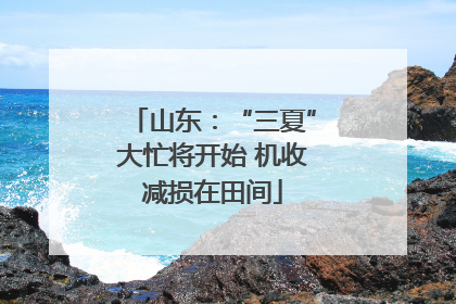 山东：“三夏”大忙将开始 机收减损在田间