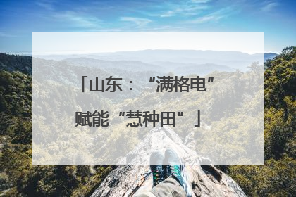 山东：“满格电”赋能“慧种田”