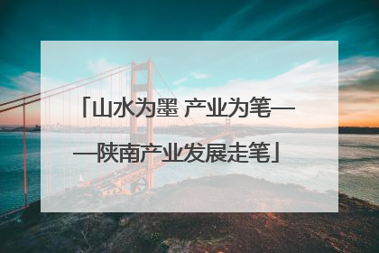 山水为墨 产业为笔——陕南产业发展走笔