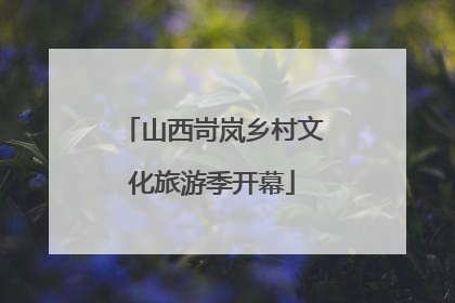 山西岢岚乡村文化旅游季开幕