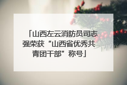 山西左云消防员司志强荣获“山西省优秀共青团干部”称号