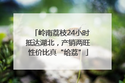 岭南荔枝24小时抵达湖北，产销两旺性价比真“给荔”