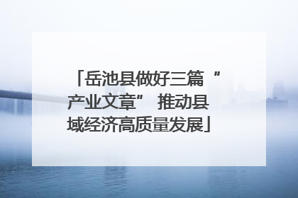 岳池县做好三篇“产业文章” 推动县域经济高质量发展
