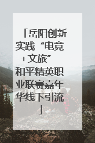 岳阳创新实践“电竞+文旅” 和平精英职业联赛嘉年华线下引流