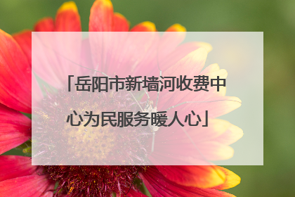岳阳市新墙河收费中心为民服务暖人心