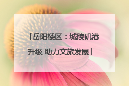 岳阳楼区：城陵矶港升级 助力文旅发展