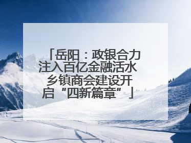 岳阳：政银合力注入百亿金融活水 乡镇商会建设开启“四新篇章”