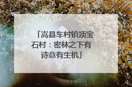 嵩县车村镇顶宝石村：密林之下有诗意有生机