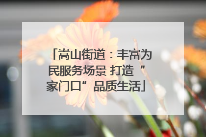 嵩山街道：丰富为民服务场景 打造“家门口”品质生活