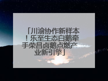 川渝协作新样本！乐至生态白鹅牵手荣昌卤鹅点燃产业新引擎